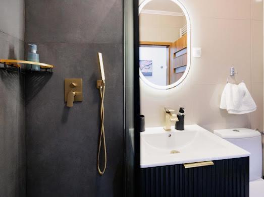 Regia Apartament Oradea Exteriér fotografie